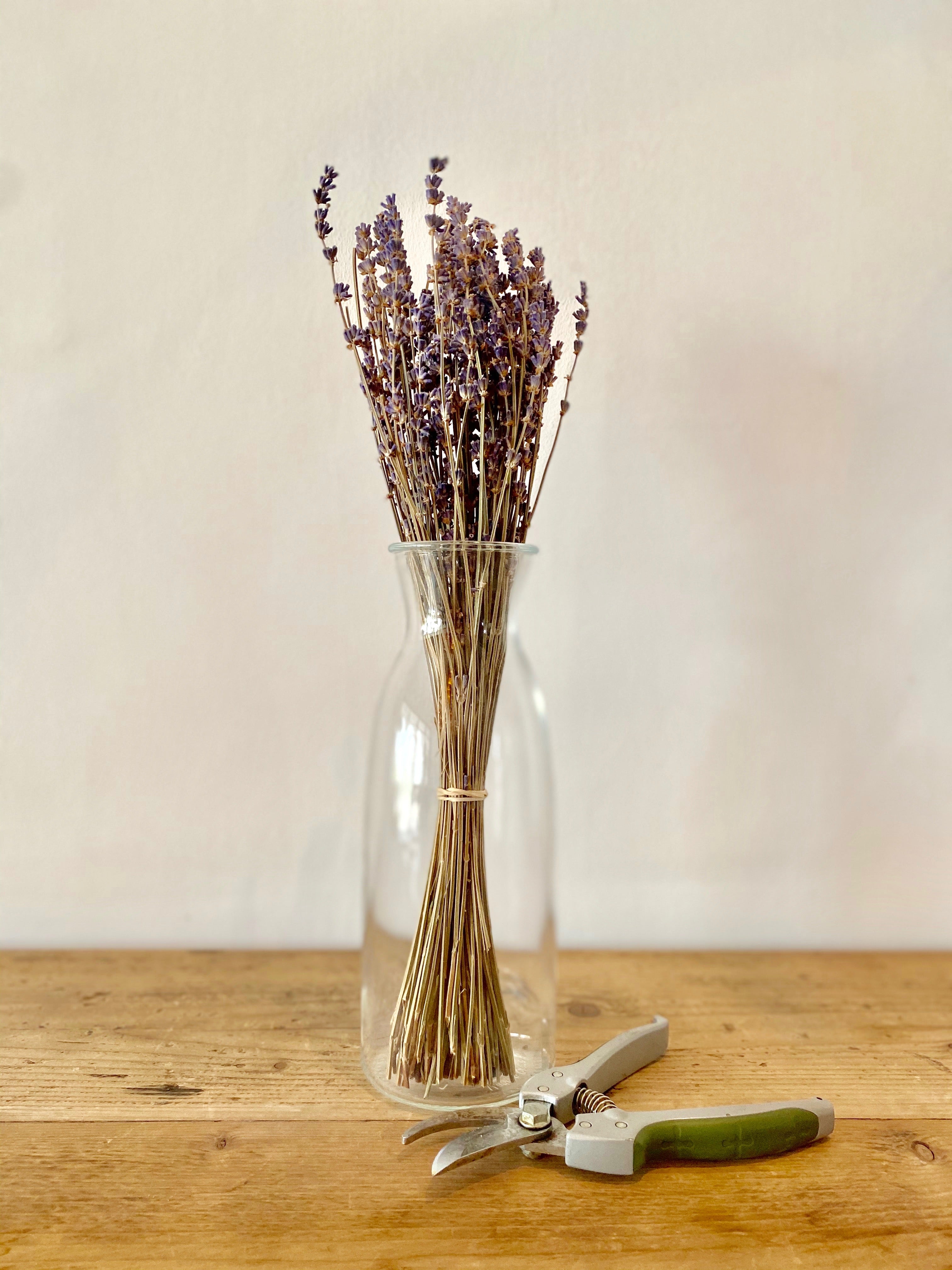 Lavender florist store