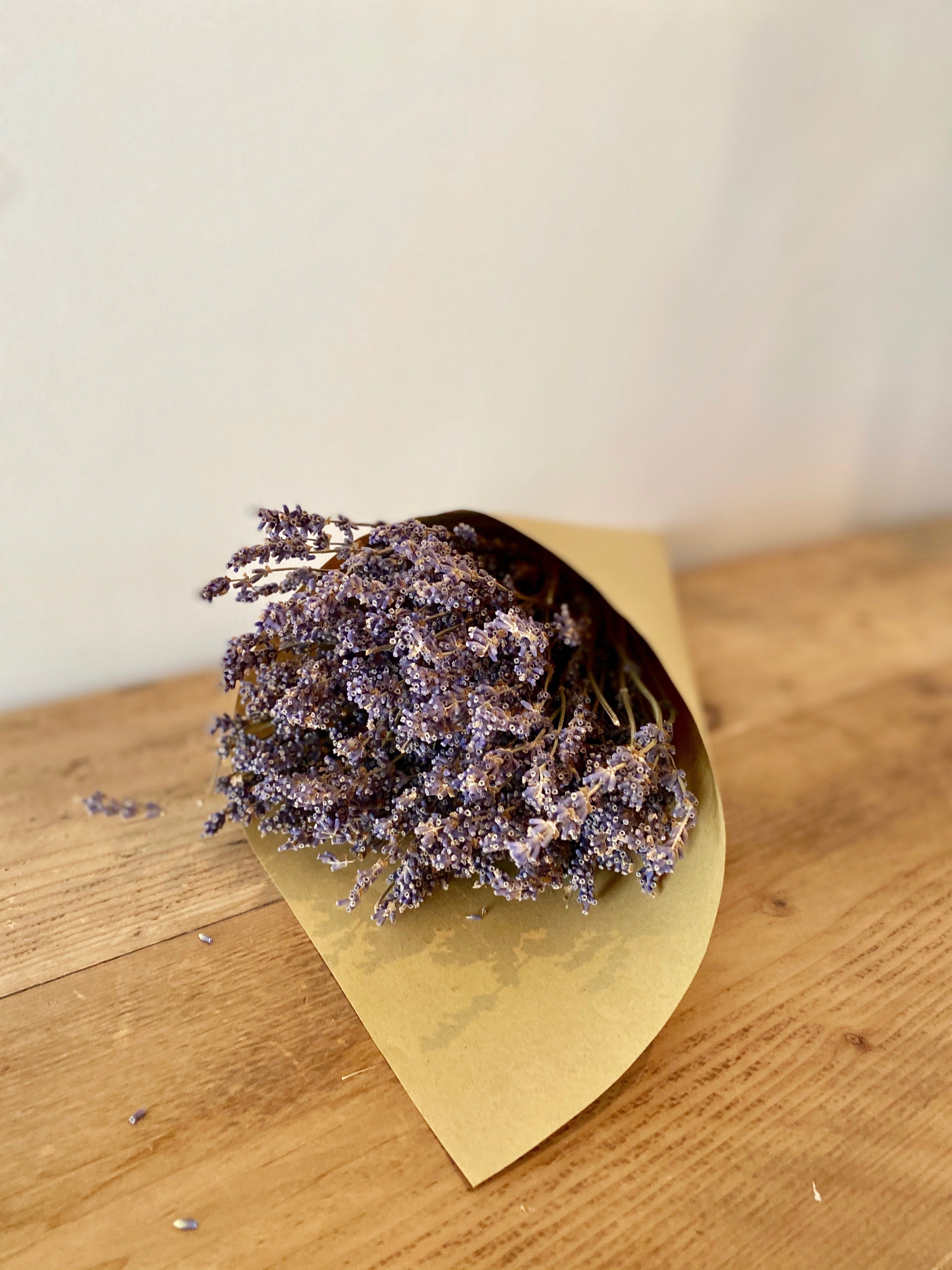 Bunch of dried Lavender