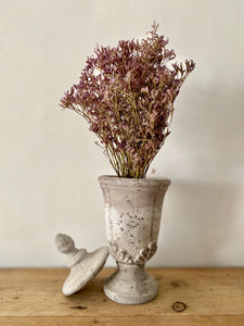 Bunch of purple Limonium