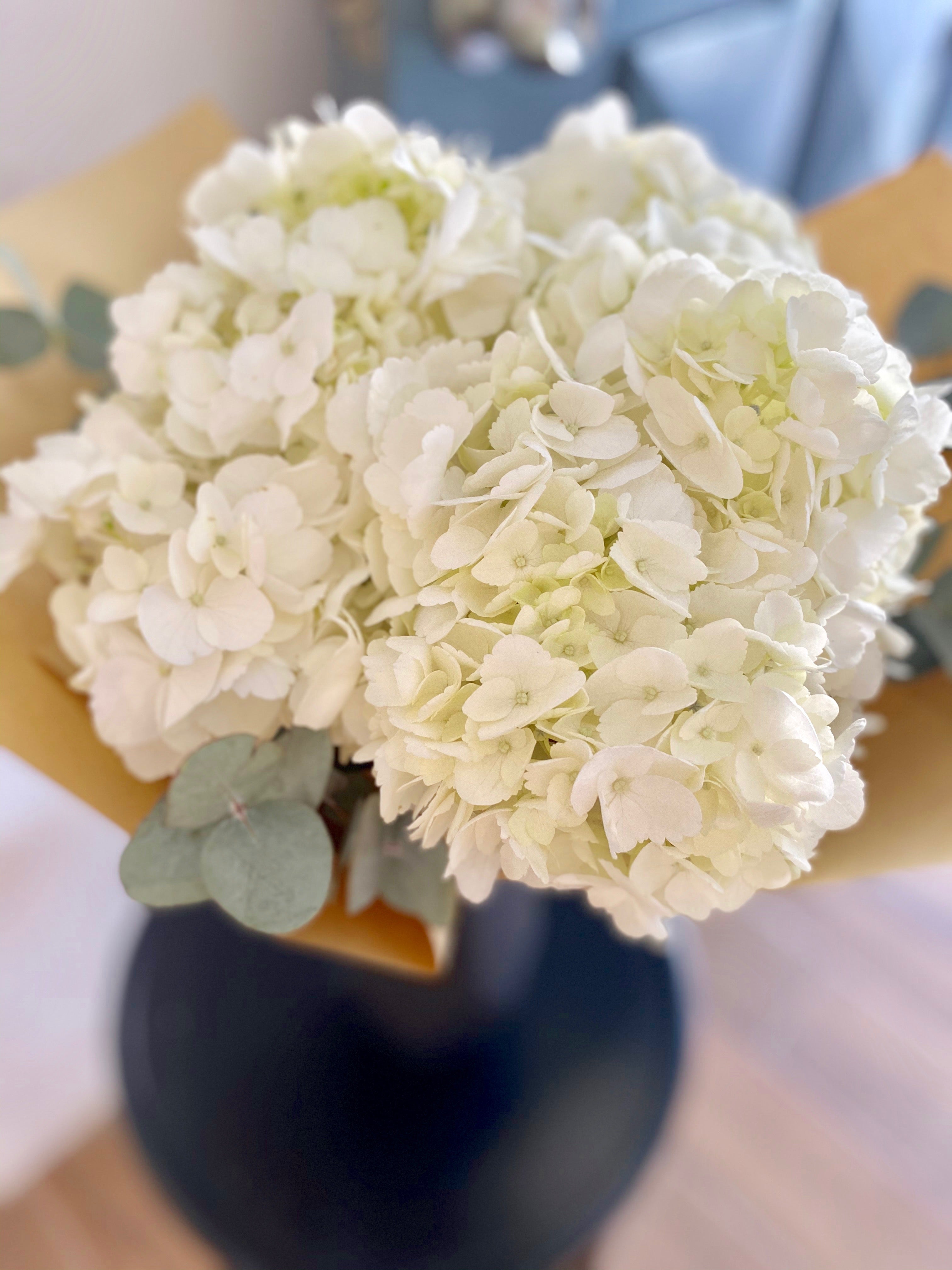 White Hydrangeas