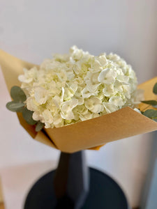 White Hydrangeas