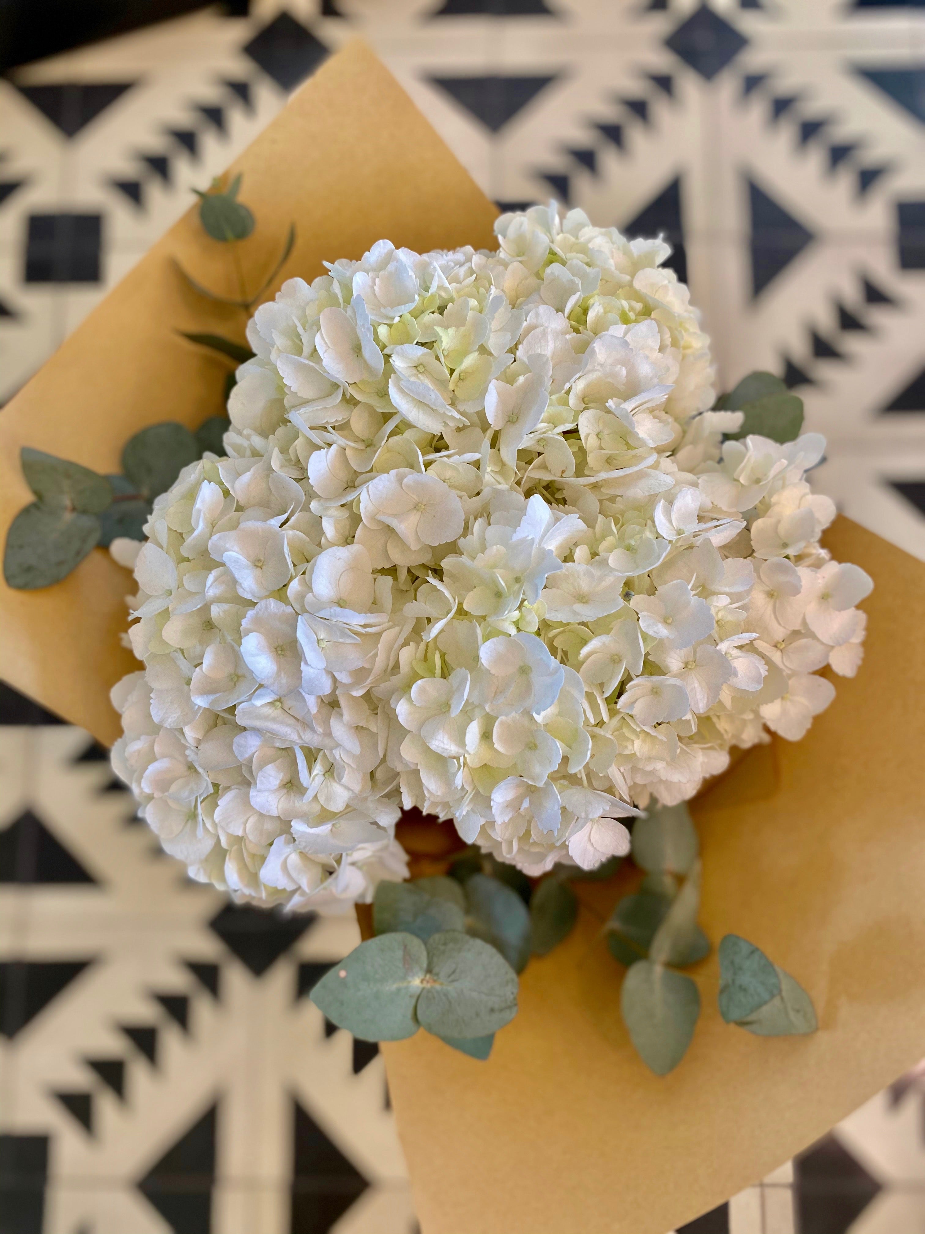 White Hydrangeas