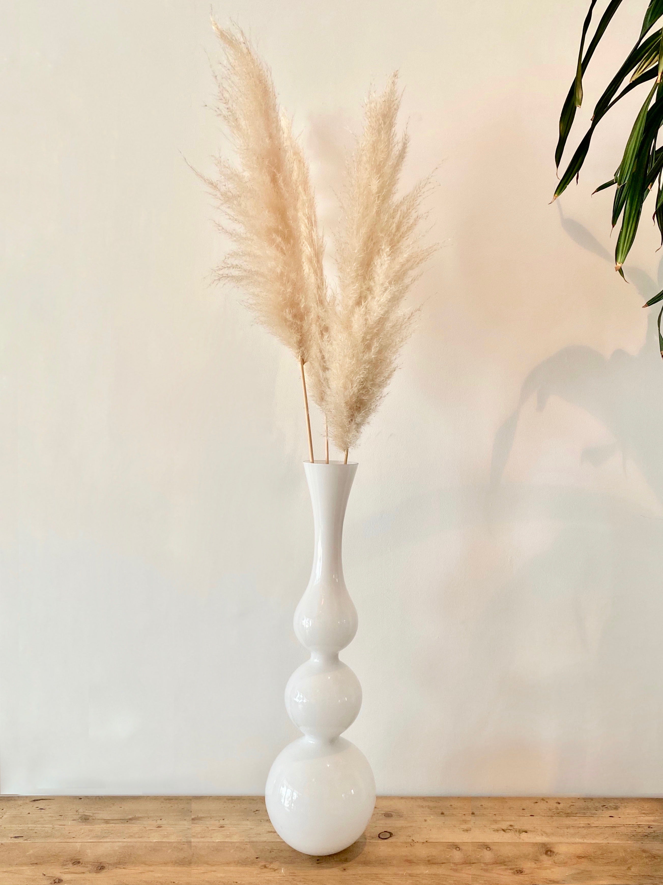 Stems of Pampas